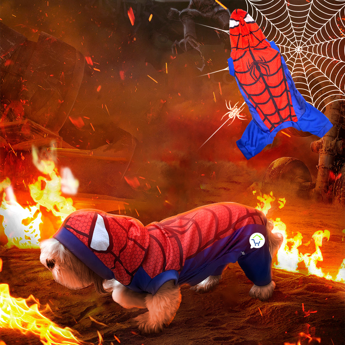 Disfraz perro araña