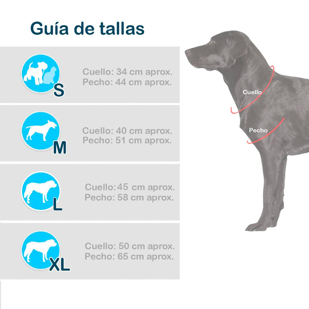 Disfraz perro araña