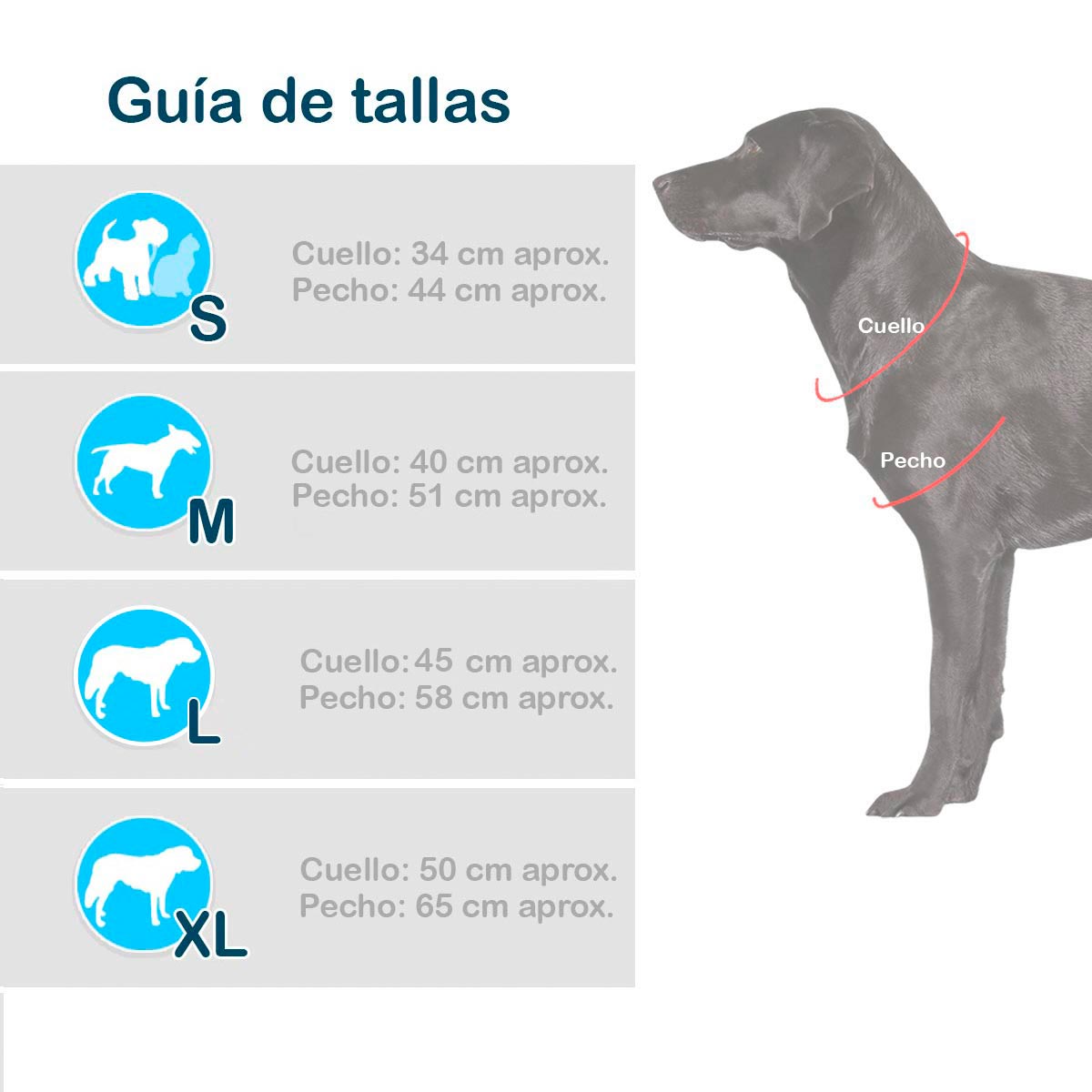 Disfraz perro araña