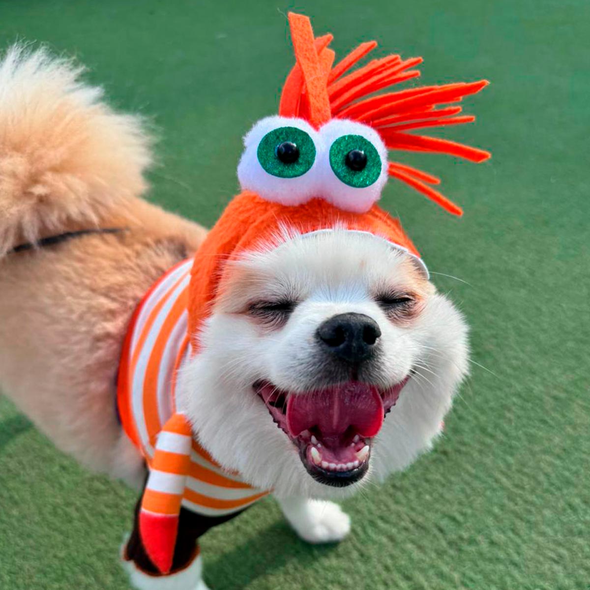 Disfraz Mascota Ansiedad